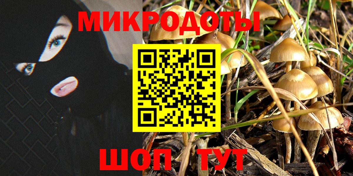 Людиново  Псилоцибиновые грибы GOLDEN TEACHER  где продают наркотики  Галлюциногенные грибы Psilocybe  Вход с VPN 