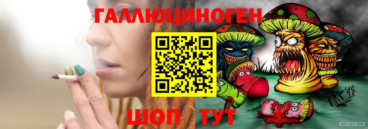 Галлюциногенные грибы GOLDEN TEACHER Людиново